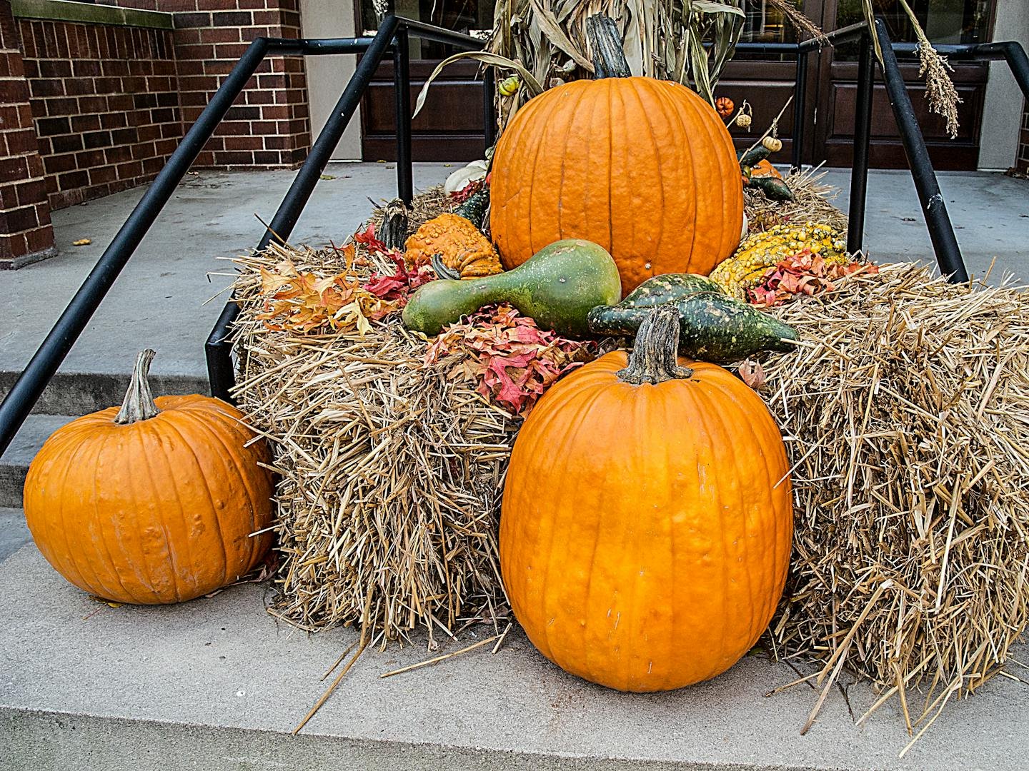 3d modeling solidworks simulation fea stress analysis results